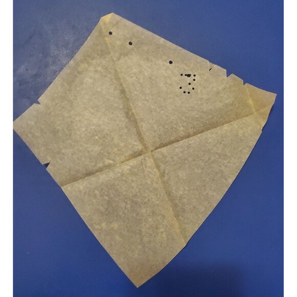 Vintage (Pre-1920?) Mail Order Sewing Pattern 9178 Blouse and Skirt Size 12 - Picture 5 of 15